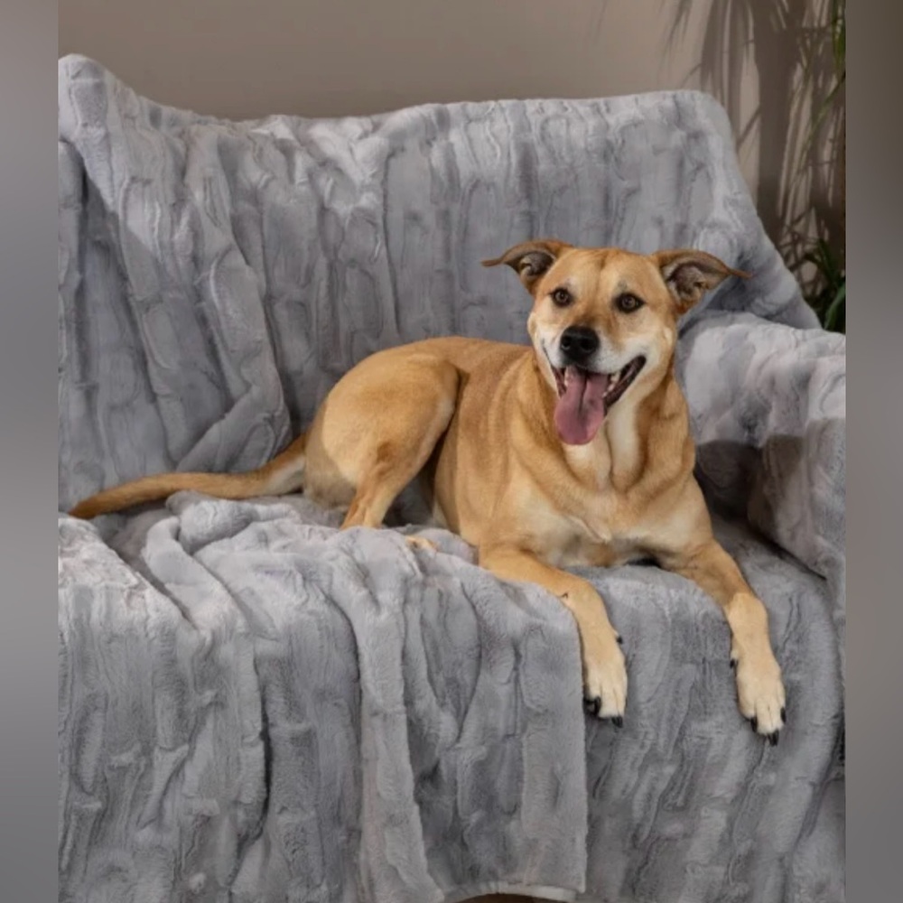 Brentwood Originals Oversized Waterproof Pet Blanket and Furniture Pro…